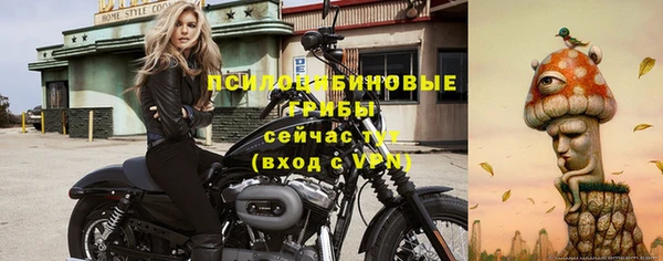 стаф Алексеевка