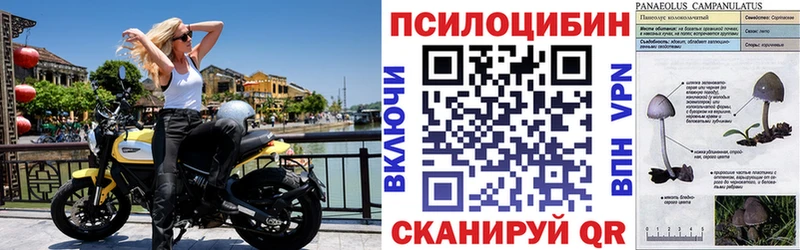 кракен маркетплейс  Качканар  Галлюциногенные грибы MAGIC MUSHROOMS  закладка 