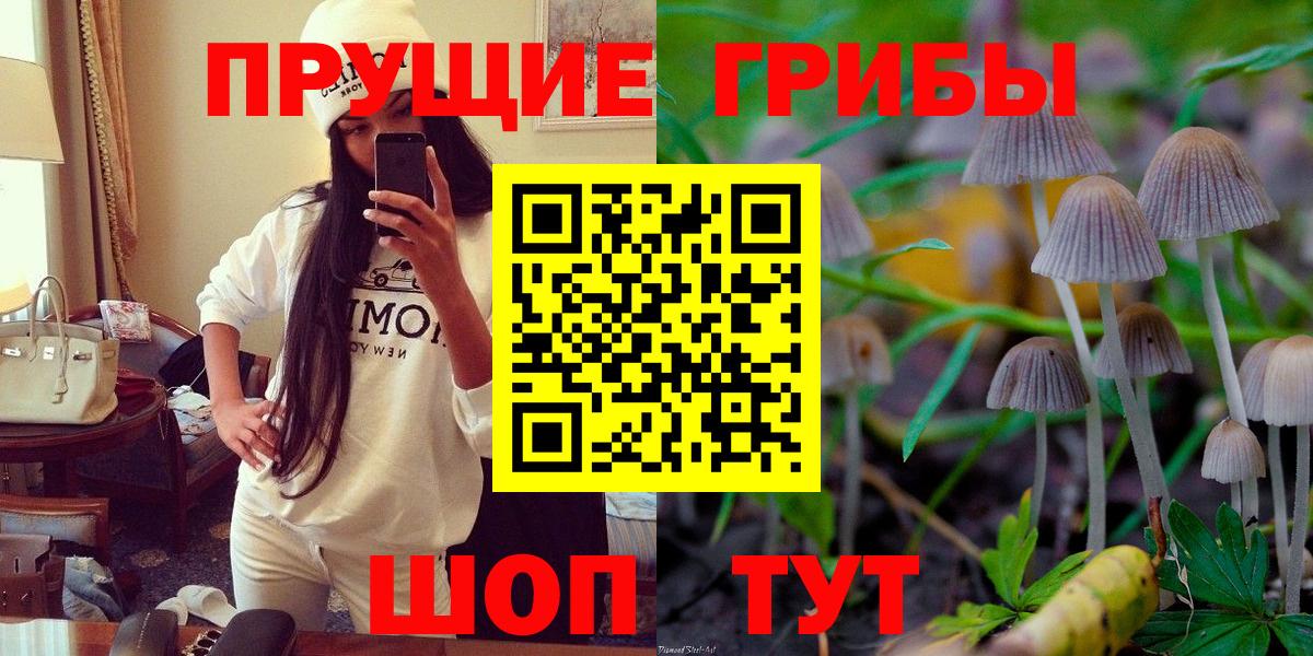 Галлюциногенные грибы прущие грибы  Псилоцибиновые грибы Psilocybe  Качканар  Вход с VPN 